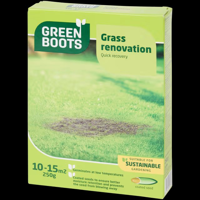 Green Boots Rasensamen 250g Kahle Stellen
