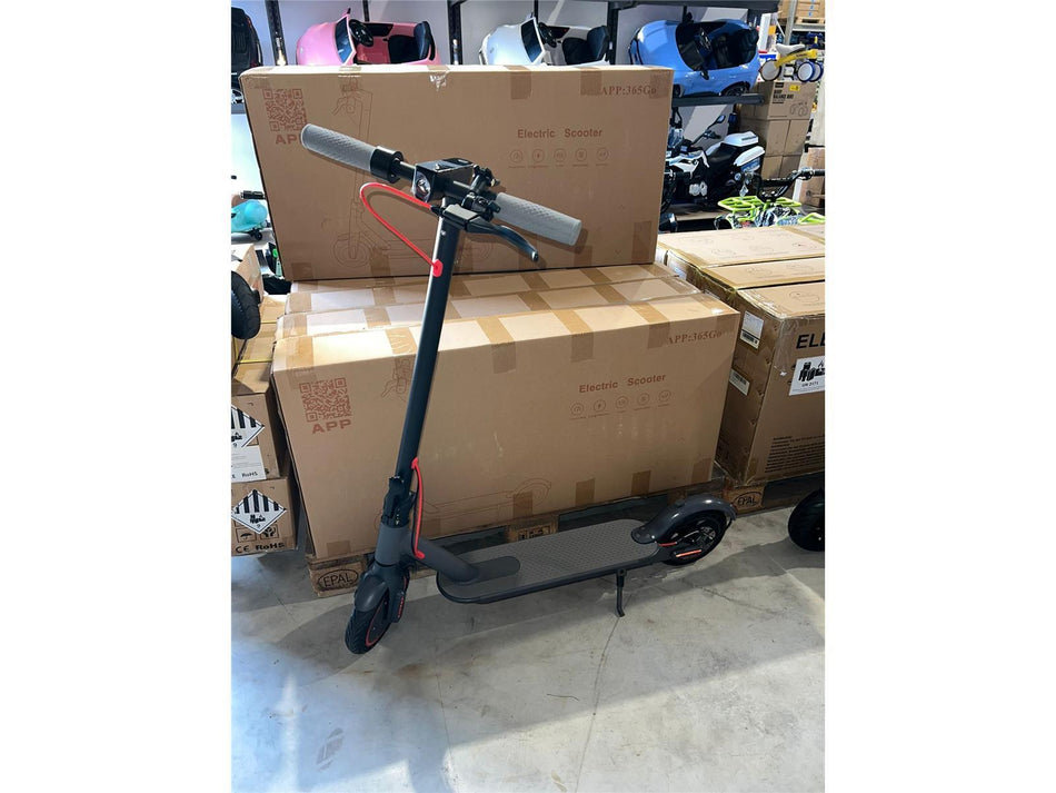 E-Scooter 350W - 20km/h - 30km Reichweite