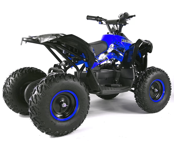 1000w kids quad sale